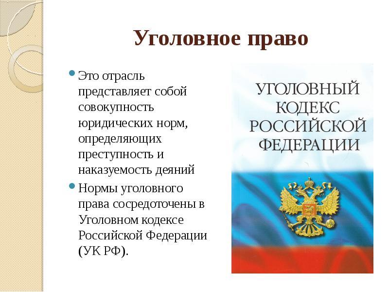 Уголовное право презентация 10 класс обществознание