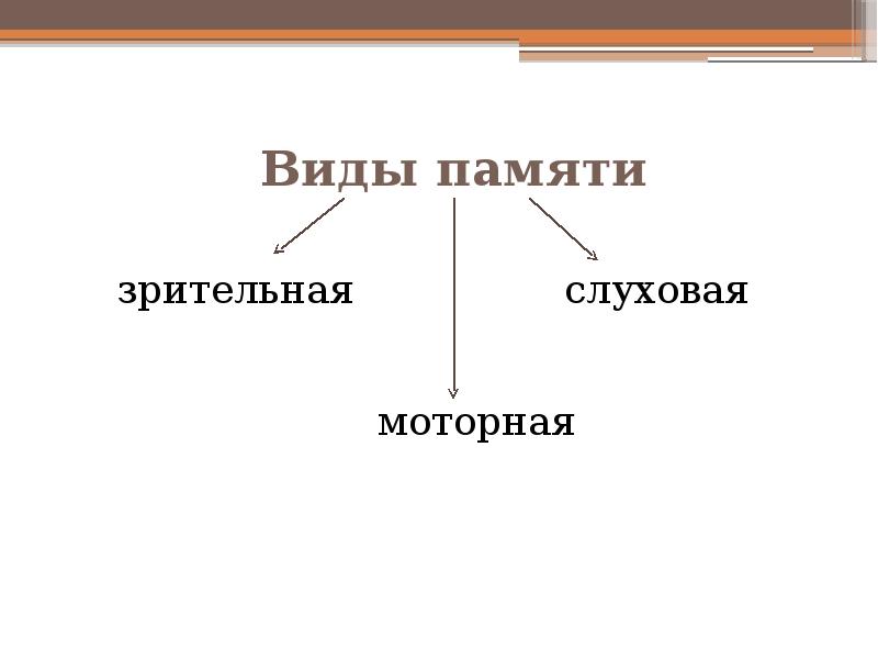 Особенности высшей нервной деятельности человека познавательные процессы презентация