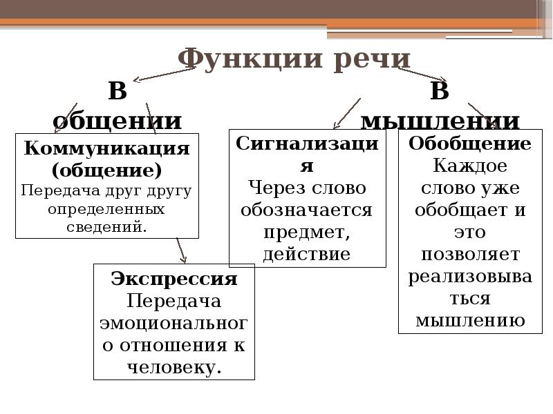 Учение о внд 8 класс презентация