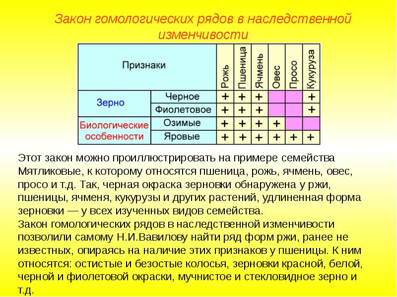 Закон вавилова о гомологических рядах наследственной изменчивости презентация