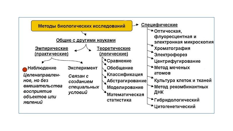 Методы биологических исследований с картинками