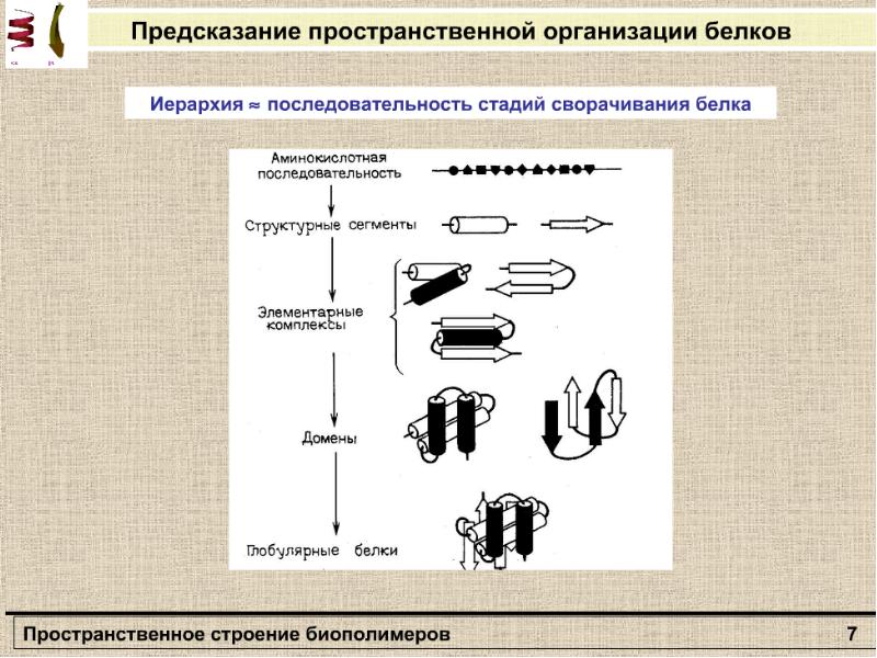 Уровень пространственной организации