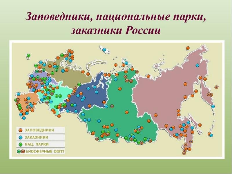 Охраняемые зоны россии презентация