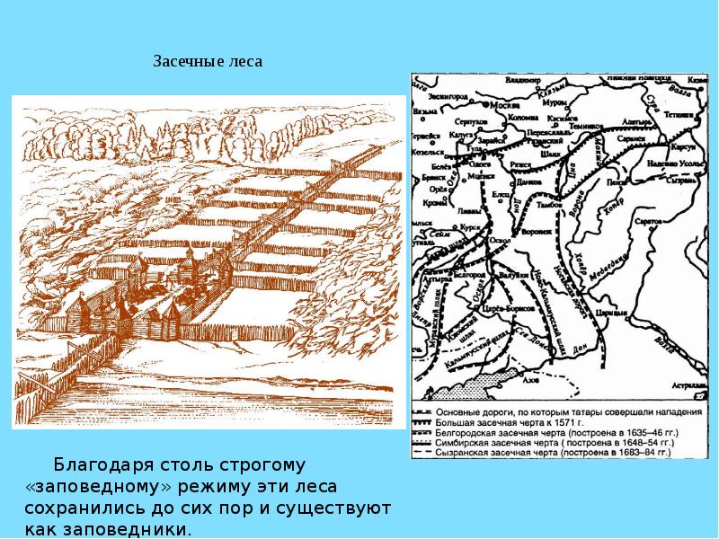 Засечные черты русского государства 16 17 век карта