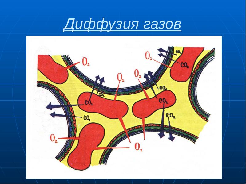 Диффузия газов
