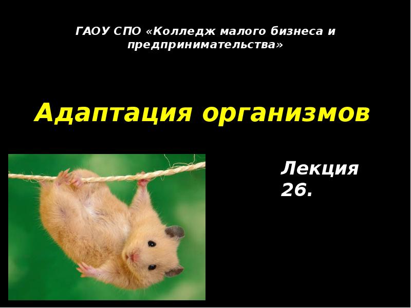 Адаптация организмов Лекция 26.