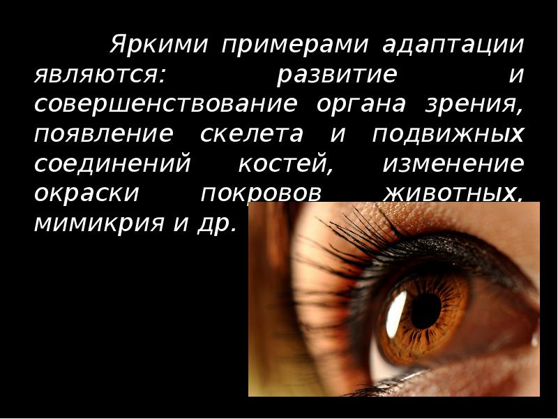 Яркими примерами адаптации являются: развитие и совершенствование органа зрения, появление скелета