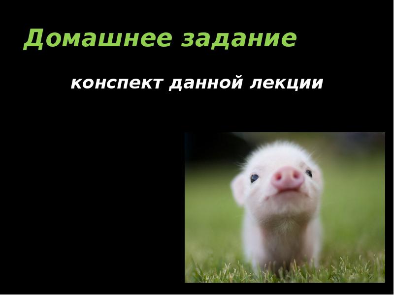 Домашнее задание конспект данной лекции