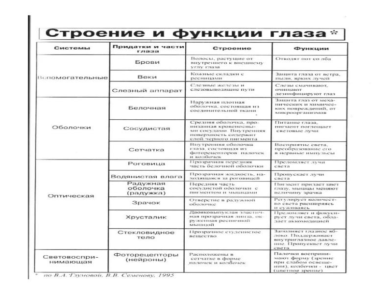 Презентация зрительный анализатор 9 класс биология