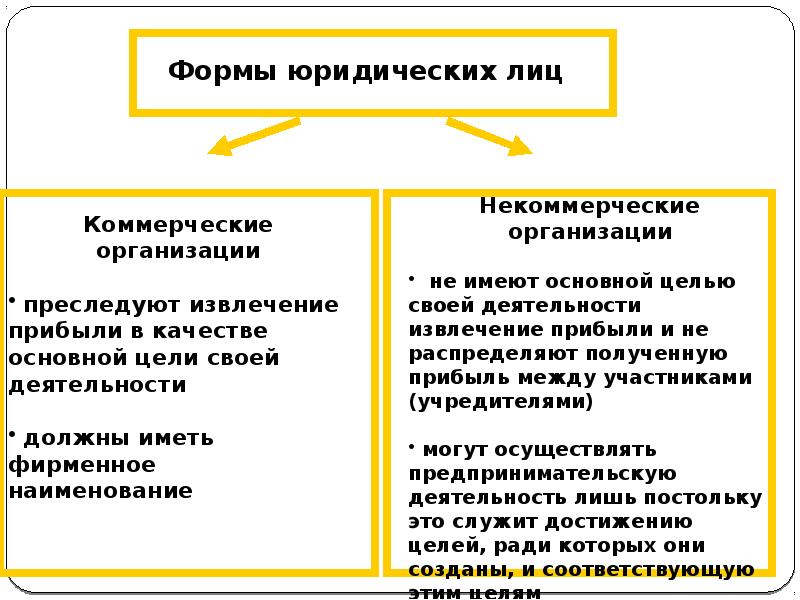 Предпринимательская деятельность юридических лиц