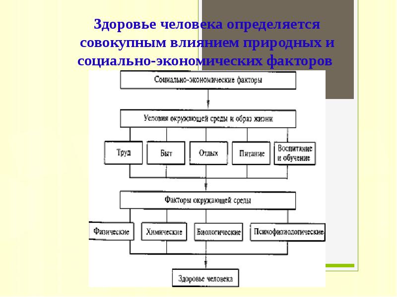 Медико биологические основы безопасности жизнедеятельности человека в среде обитания презентация