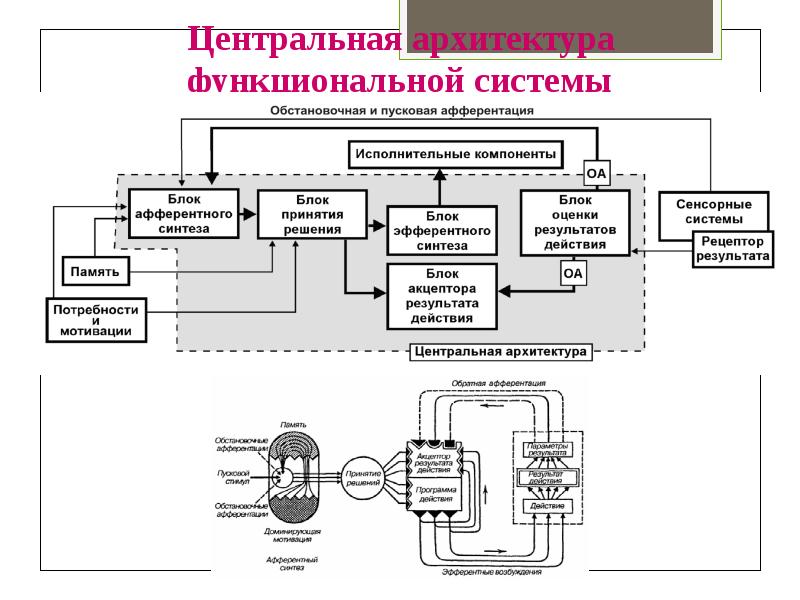 Функциональная архитектура схема