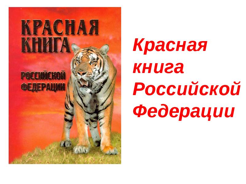 Картинка красная книга россии для презентации