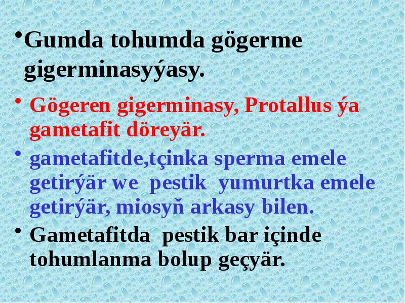 Gumda tohumda gögerme gigerminasyýasy.
Gögeren gigerminasy, Protallus ýa gametafit döreyär.
Gumda tohumda gögerme gigerminasyýasy.
Gögeren gigerminasy, Protallus ýa gametafit döreyär.