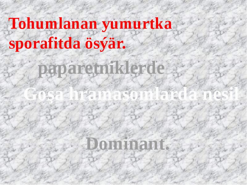 Tohumlanan yumurtka sporafitda ösýär. Tohumlanan yumurtka sporafitda ösýär.