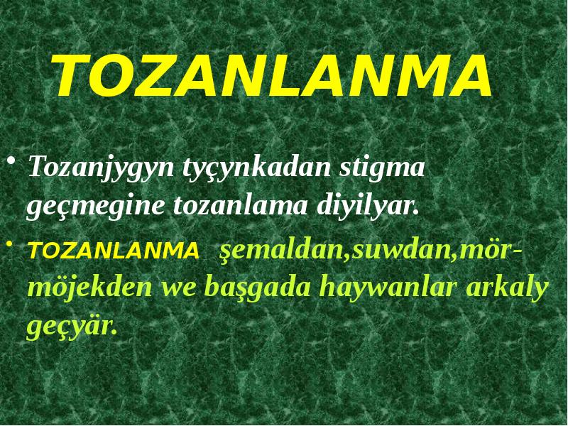 TOZANLANMA
Tozanjygyn tyçynkadan stigma geçmegine tozanlama diyilyar.
TOZANLANMA şemaldan,suwdan,mör-möjekden we başgada TOZANLANMA
Tozanjygyn tyçynkadan stigma geçmegine tozanlama diyilyar.
TOZANLANMA şemaldan,suwdan,mör-möjekden we başgada