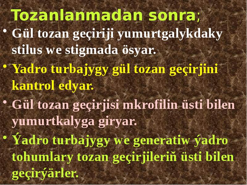 Tozanlanmadan sonra;
Gül tozan geçiriji yumurtgalykdaky stilus we stigmada ösyar.
Tozanlanmadan sonra;
Gül tozan geçiriji yumurtgalykdaky stilus we stigmada ösyar.