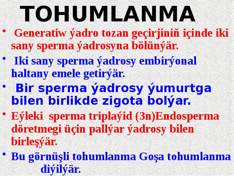 TOHUMLANMA
Generatiw ýadro tozan geçirjiniň içinde iki sany sperma ýadrosyna TOHUMLANMA
Generatiw ýadro tozan geçirjiniň içinde iki sany sperma ýadrosyna