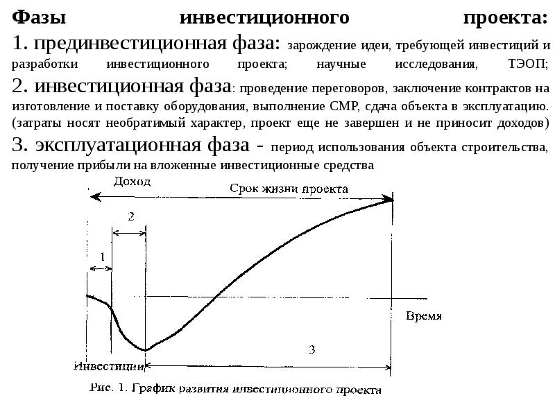 Суть инвестиционного проекта