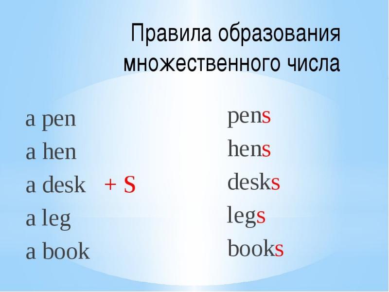 Множественное число 2 класс английский язык презентация