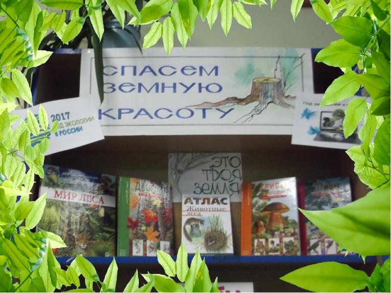 Централизованная система детских библиотек г брянска. Централизованная система детских библиотек г брянска