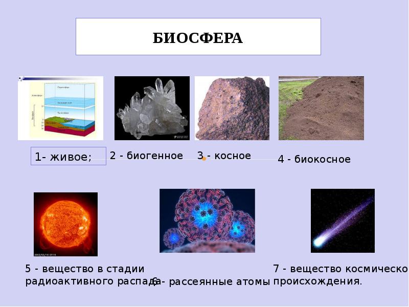 Биосфера тест 11 класс. Вещества биосферы. Биосфера примеры. Вещества биосферы живое косное биокосное. Вещества биосферы по Вернадскому.