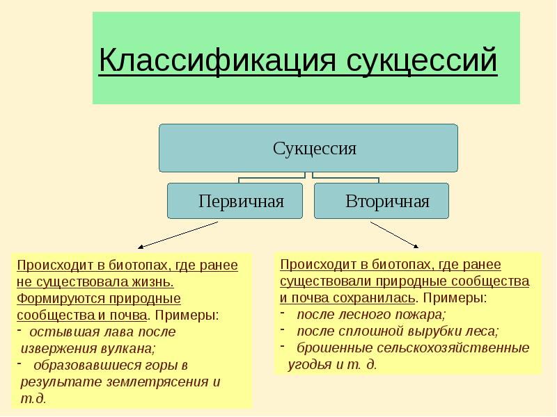 Приведите примеры сукцессий