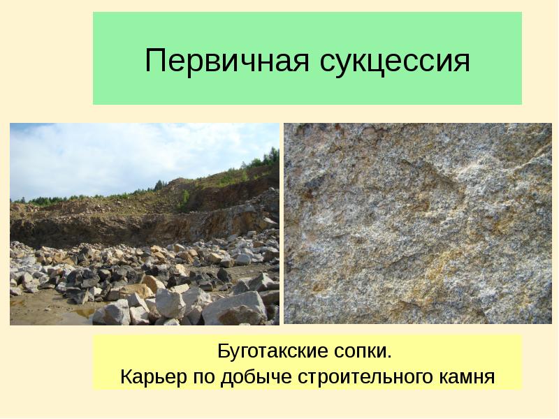 Первичная сукцессия Буготакские сопки.  Карьер по добыче строительного камня