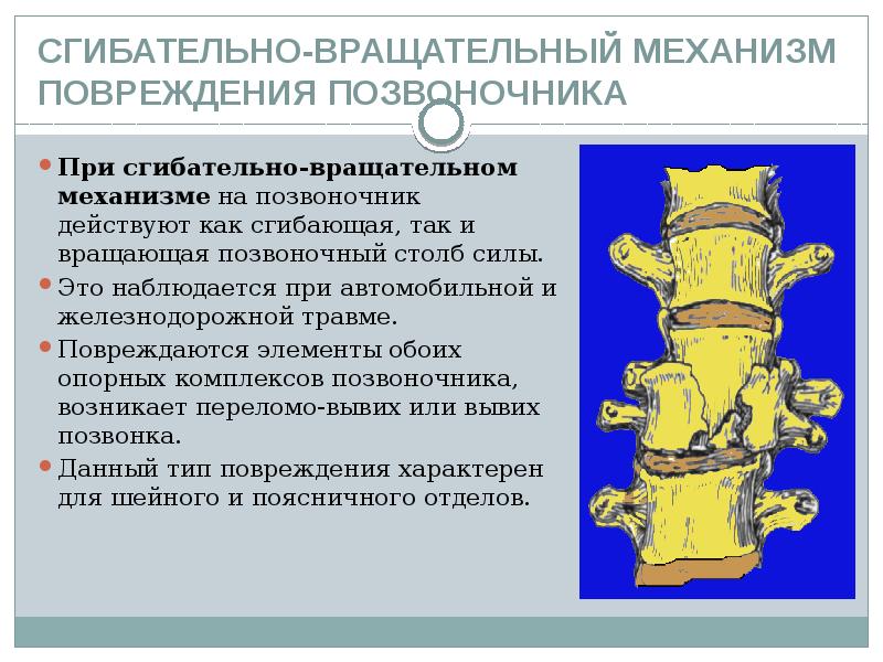 Презентация на тему повреждения позвоночника