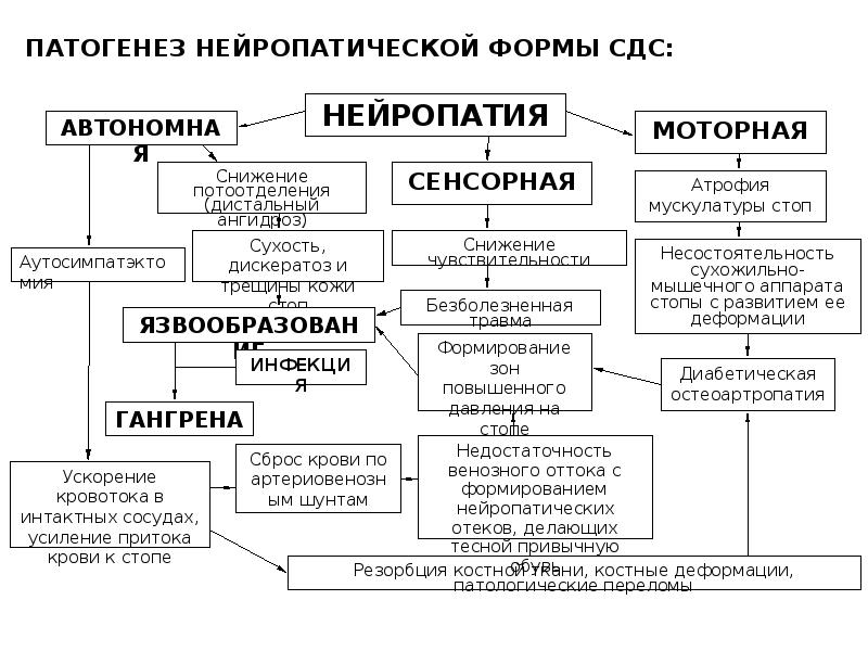 Принципы диагностики лечения