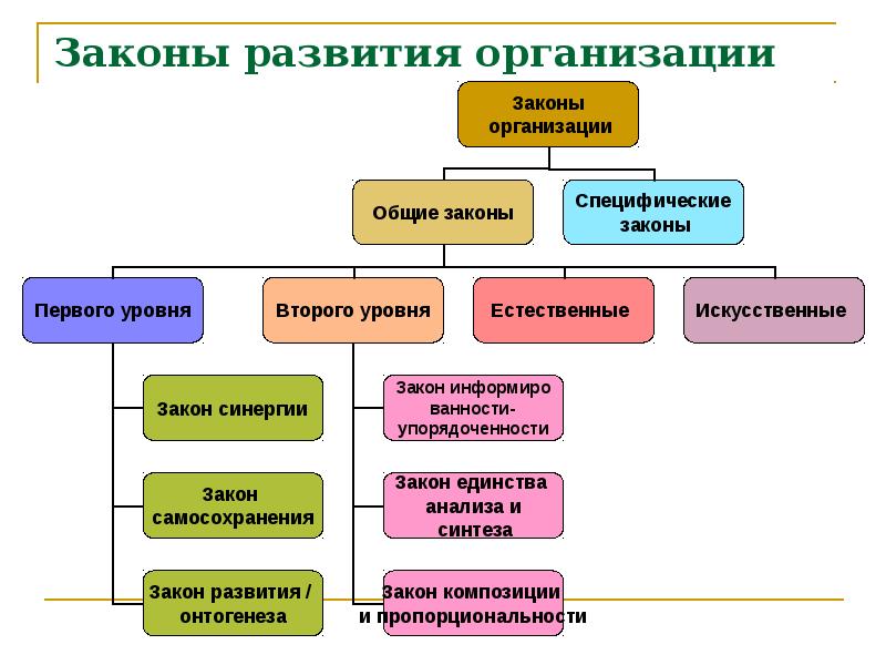 Типы организационного развития презентация