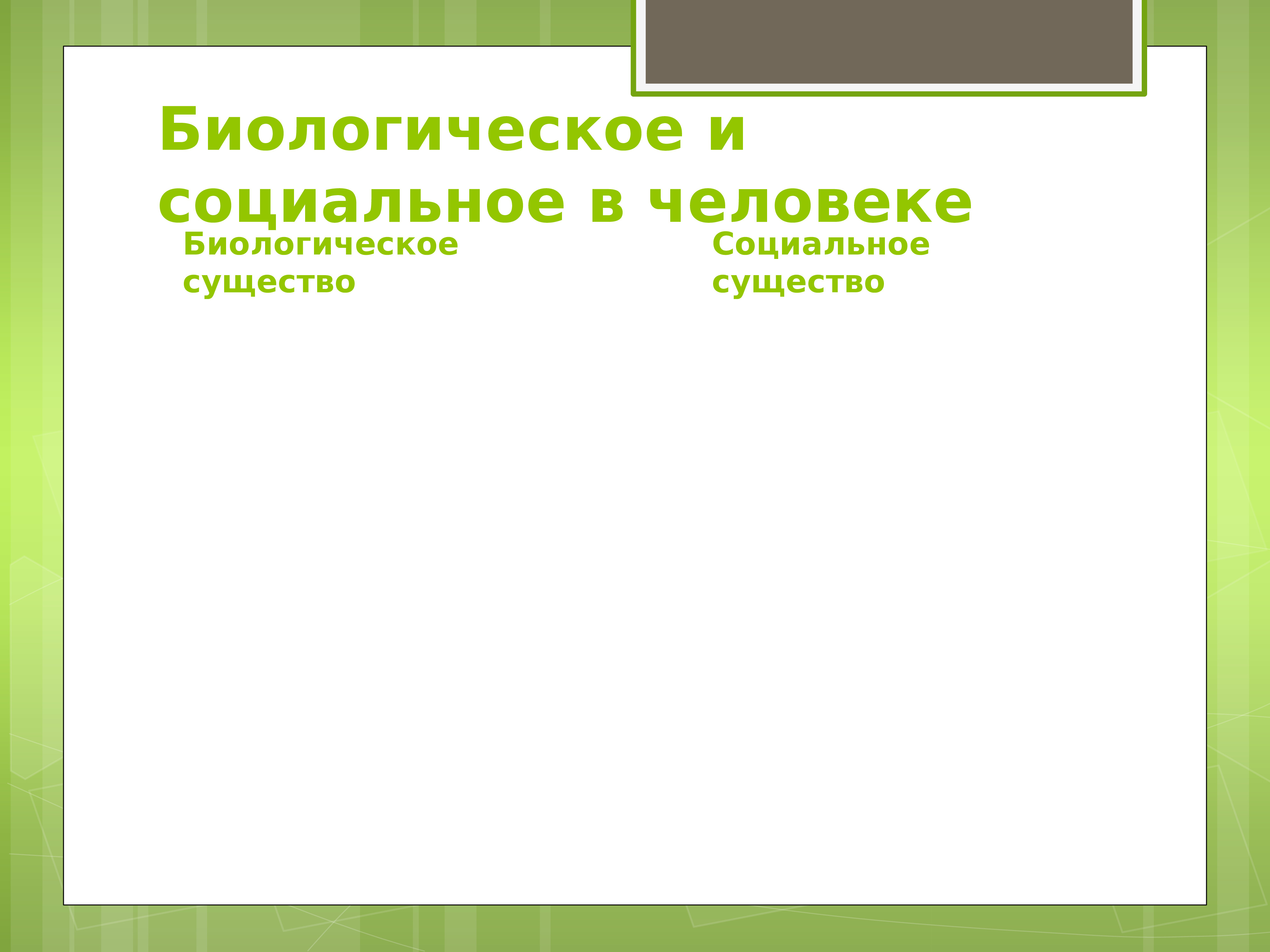 Социальная сущность человека проект