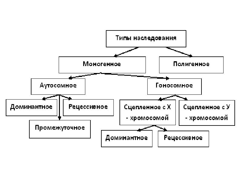 Характер наследственность или воспитание проект по обществознанию