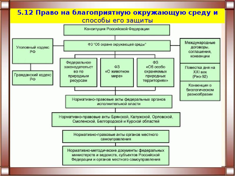 План право человека на благоприятную окружающую среду