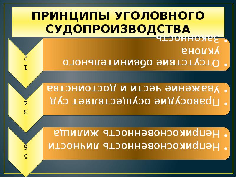 Особенности уголовного судопроизводства презентация