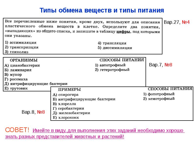 Подготовка к егэ биология презентация егэ