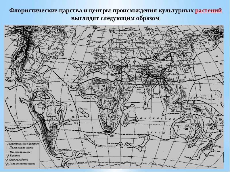 Палеотропическое царство карта