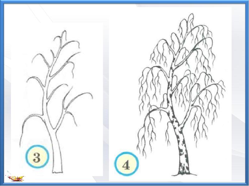 Береза рисунок 2 класс