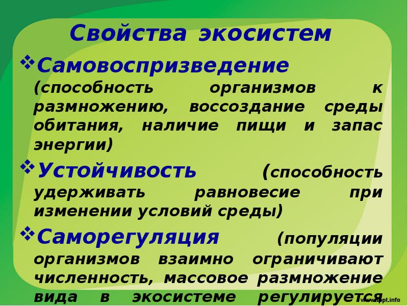 Наличие свойства. Характеристика экосистемы. Свойства экосистем. Саморегуляция экосистемы. Саморегуляция популяции.