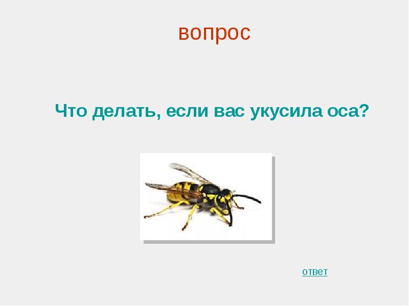 Оса ответ. Что делать кчли УКУСИЛВ ОЧВ. Что делать если укусила Осичка. Что днлать клси укусала РСА. Что делать если укусила Оса.