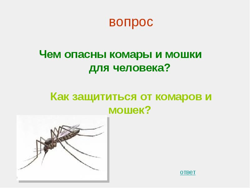 Карта комаров и мошек