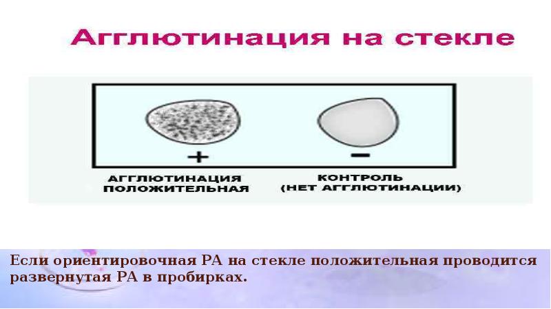 Серологические реакции рисунки