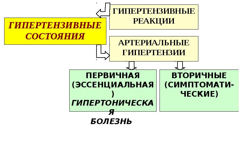 Патофизиология сосудистого тонуса презентация