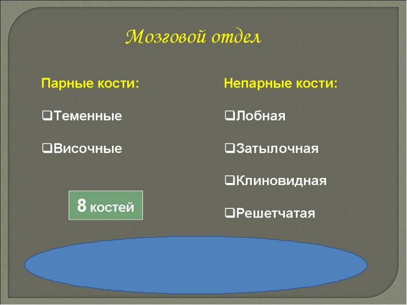 Парной костью является. Парные кости. Парные кости мозгового отдела. Выберите парные кости. В состав входят парные кости.