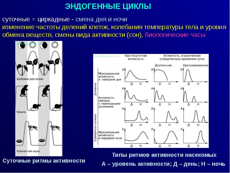 Типы активности