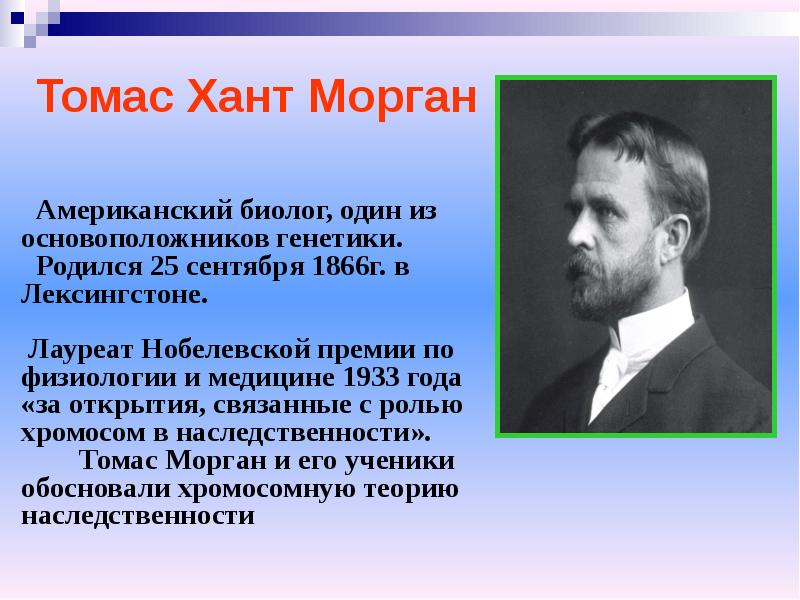 Томас морган презентация