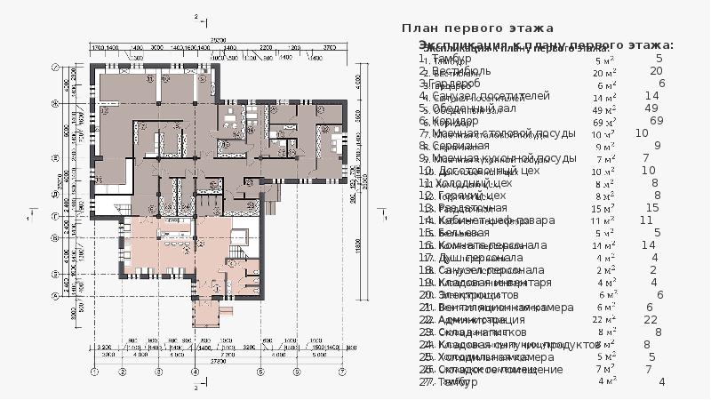 Кафе на 50 человек проект