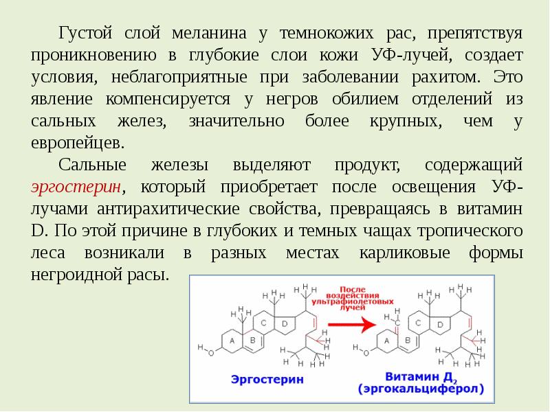 Получение витамина д2 схема. Функции витамина д3 в организме человека. Витамин д ультрафиолет. Синтезирующие витамины в организме человека. Схема синтеза витамина д3.