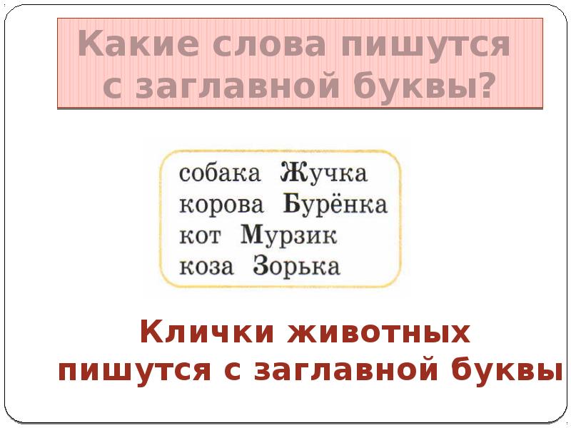 Заглавная буква в кличках животных 1 класс школа россии презентация