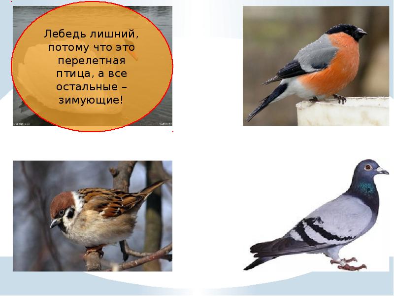 Потому что это лишний